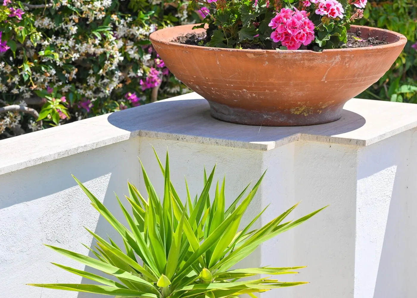 Il giardino mediterraneo