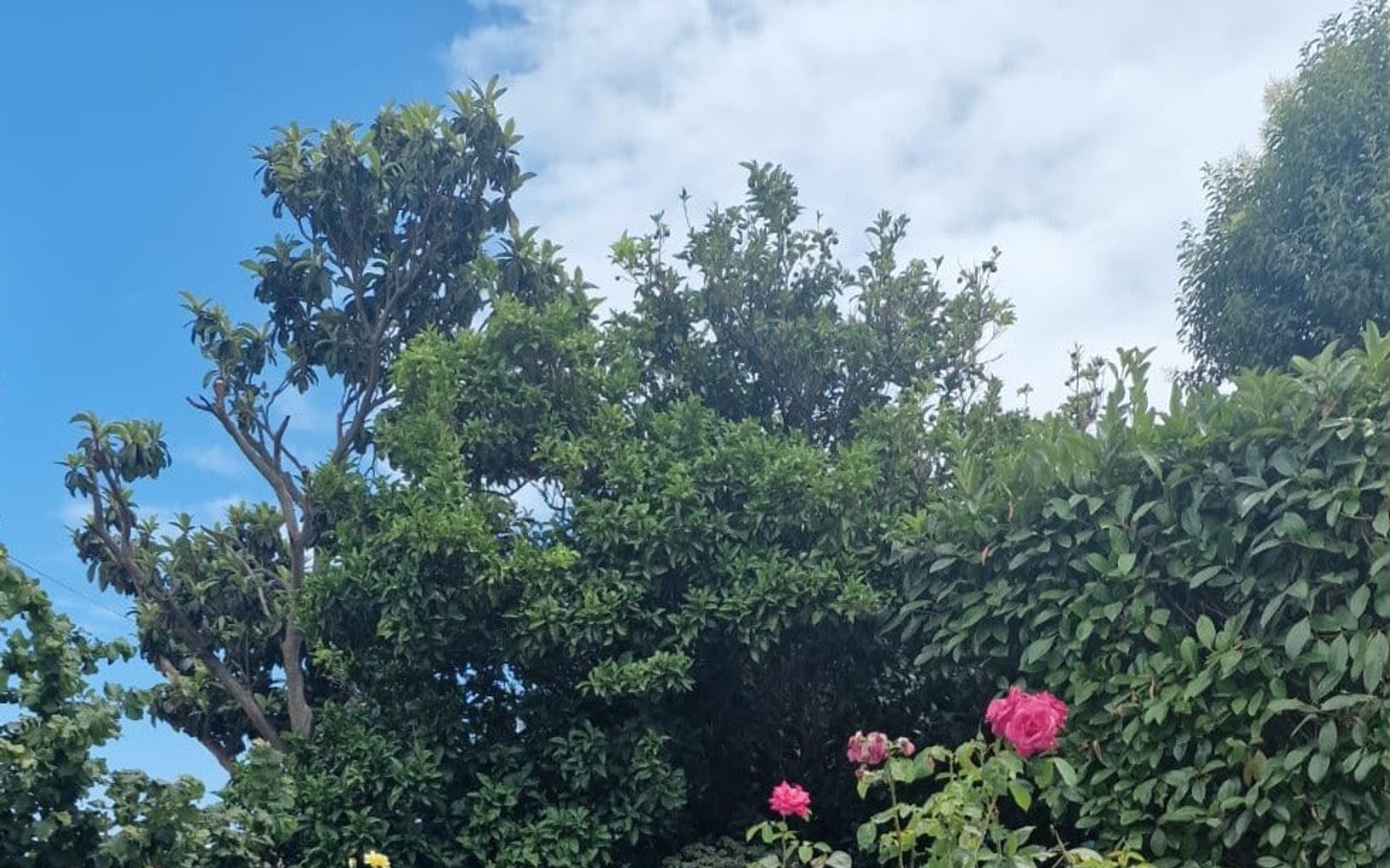 La piscina di Villa Maddalena in giardino